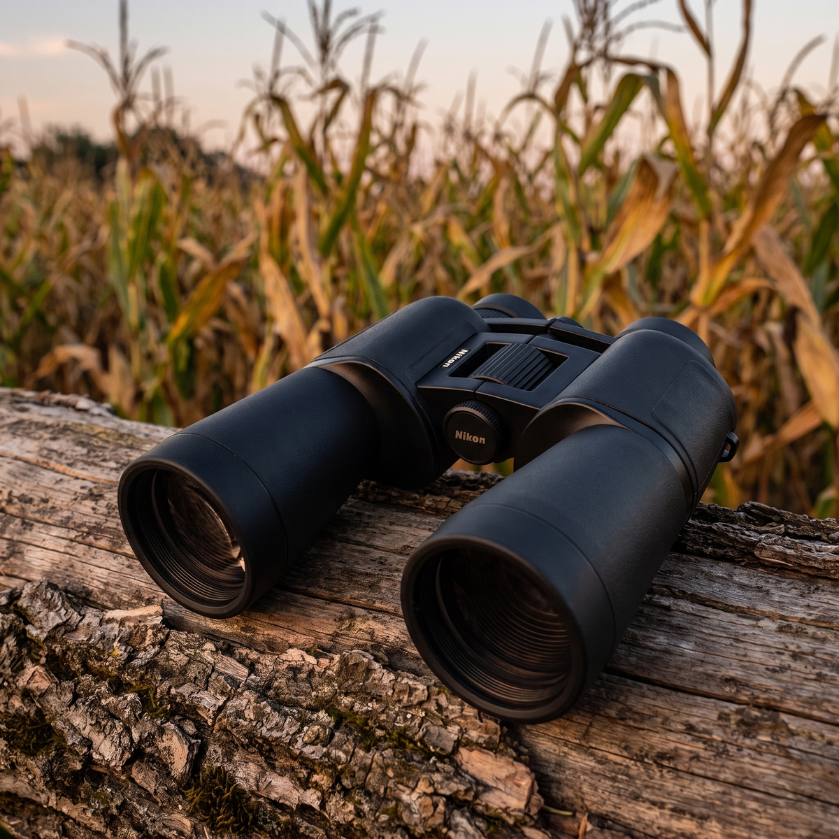 Nikon Dvogled Action 10x50